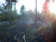 wildfire041609a.jpg